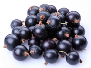 Black currants or cassis. Source: NWWildfoods.com