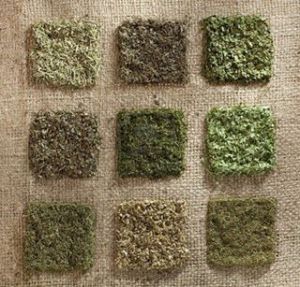dried green herbs