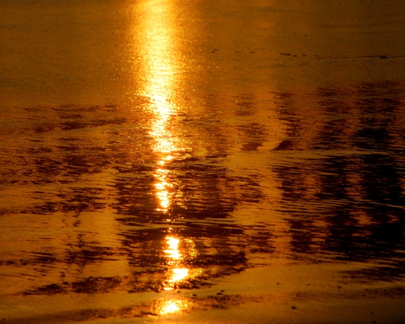 "Abstract streams of gold." Photo: Jason Tockey. Site: jstimages.wordpress.com 
