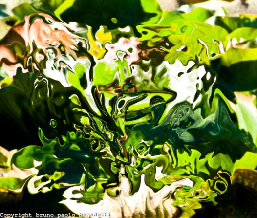 Abstract Green Fantasy by Bruno Paolo Benedetti. Source: imagesinactions.photoshelter.com