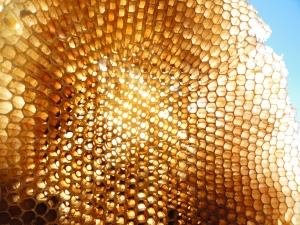 Honeycomb. Source: Robert.Maro.net