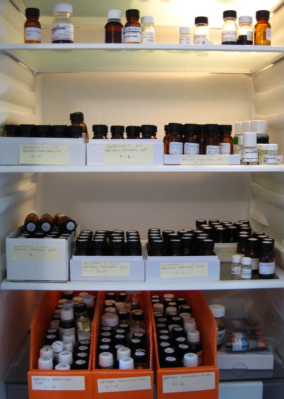 A fridge filled with fragile perfume oils, or oils of the weakest strength and diluted in 1% alcohol. 
